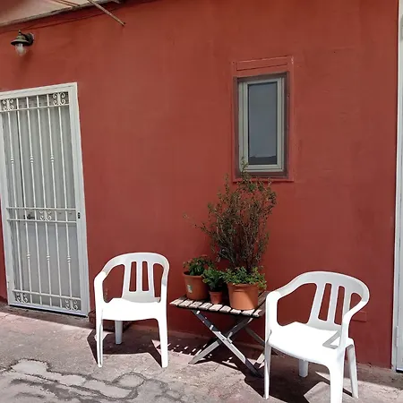 Il Gatto E Pirouette Al Centro Storico
