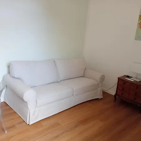 Il Gatto E Pirouette Al Centro Storico Neapol