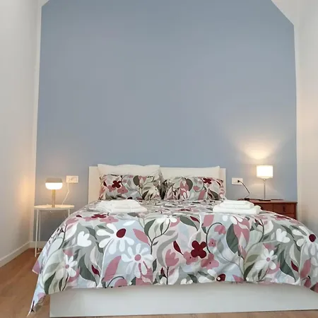 Il Gatto E Pirouette Al Centro Storico *