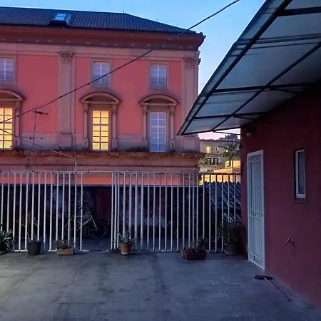 Il Gatto E Pirouette Al Centro Storico