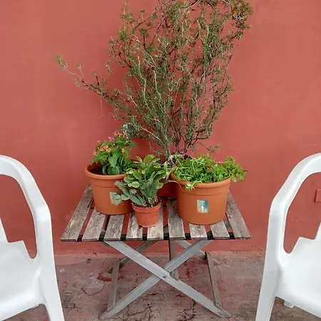 Il Gatto E Pirouette Al Centro Storico Apartament *