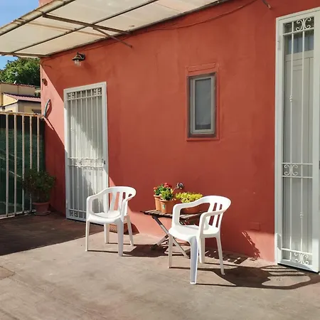 Il Gatto E Pirouette Al Centro Storico